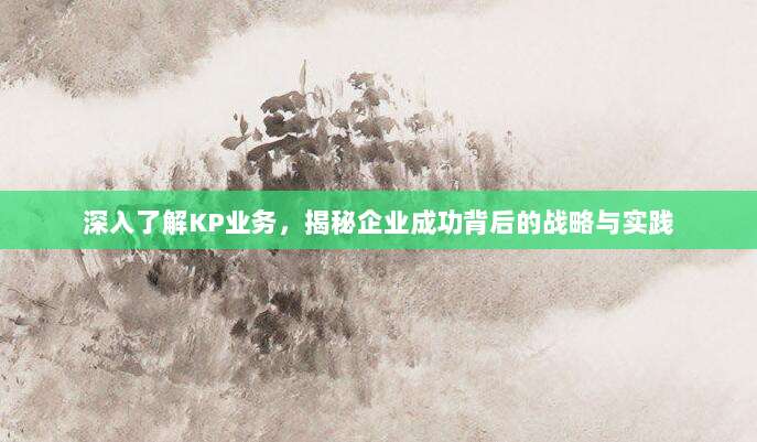 深入了解KP业务,揭秘企业成功背后的战略与实践