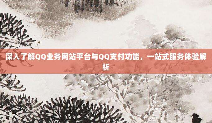 深入了解QQ业务网站平台与QQ支付功能,一站式服务体验解析