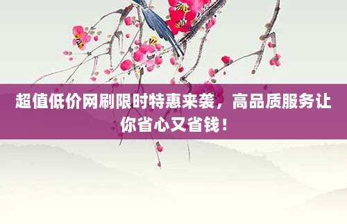 超值低价网刷限时特惠来袭,高品质服务让你省心又省钱!