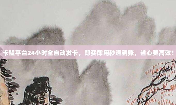 卡盟平台24小时全自动发卡,即买即用秒速到账,省心更高效!