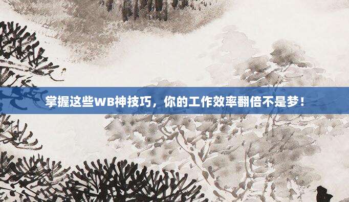 掌握这些WB神技巧,你的工作效率翻倍不是梦!