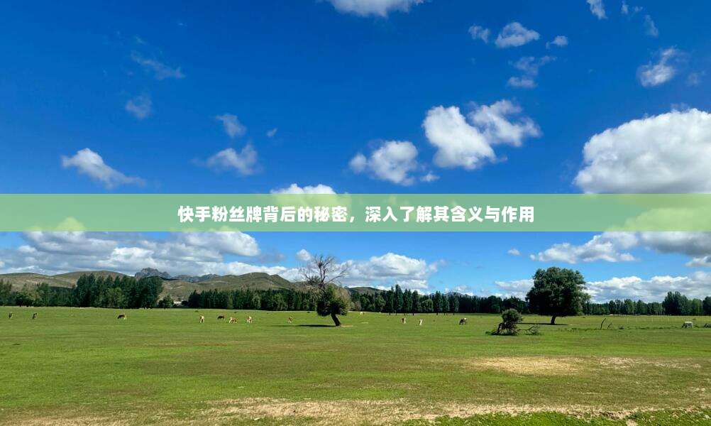 快手粉丝牌背后的秘密,深入了解其含义与作用