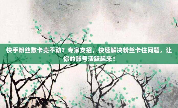 快手粉丝数卡壳不动?专家支招,快速解决粉丝卡住问题,让你的账号活跃起来!