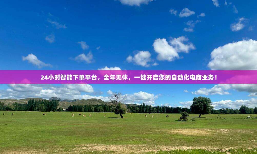 24小时智能下单平台,全年无休,一键开启您的自动化电商业务!