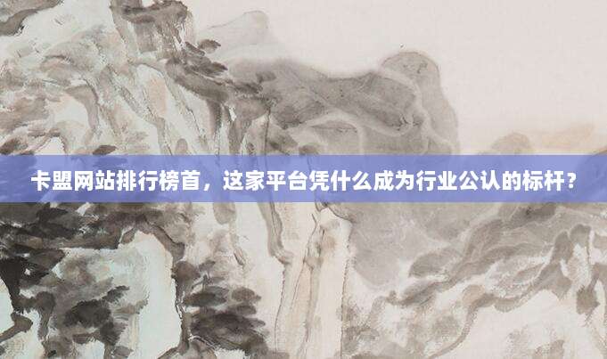 卡盟网站排行榜首,这家平台凭什么成为行业公认的标杆?