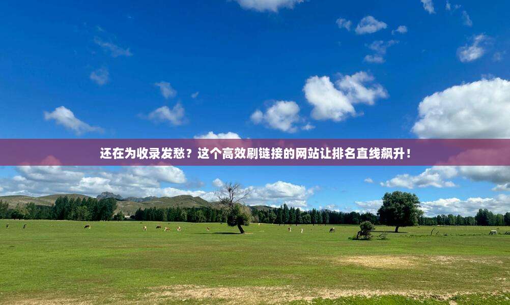 还在为收录发愁?这个高效刷链接的网站让排名直线飙升!