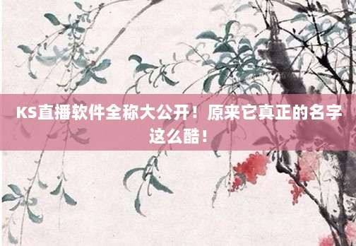 KS直播软件全称大公开!原来它真正的名字这么酷!